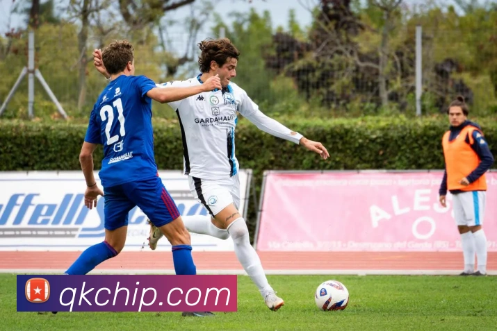 芒果体育APP 封面图